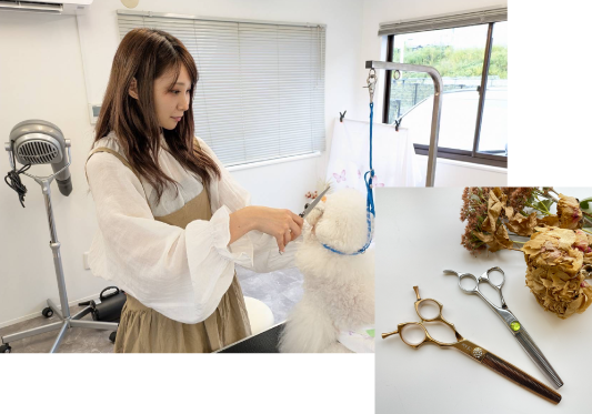 優しく犬を抱きながら施術するDog salon neuのオーナー