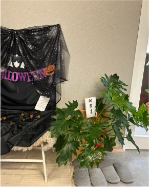 Dog salon neuの清潔で落ち着いた店内