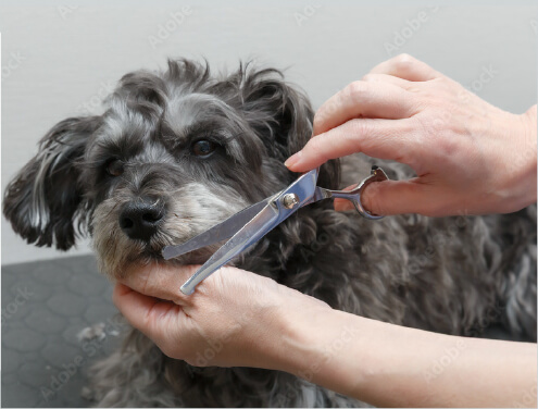 オプションメニュー（料金表）