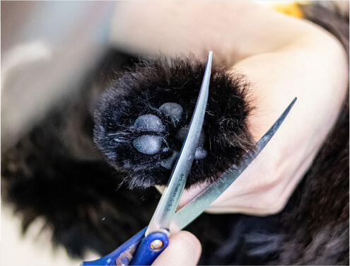 Dog salon neuの単品施術料金表