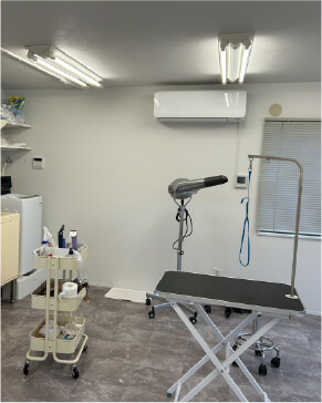 Dog salon neuの清潔で落ち着いた店内